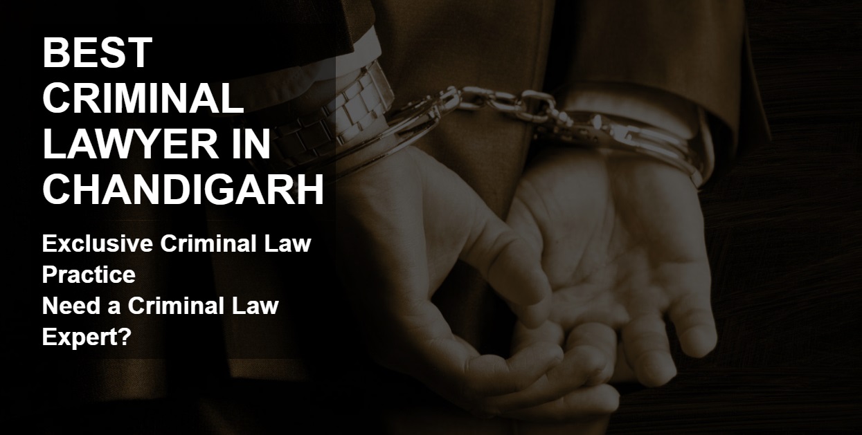 Criminal Lawyer in Chandigarh High Court Chandigarh